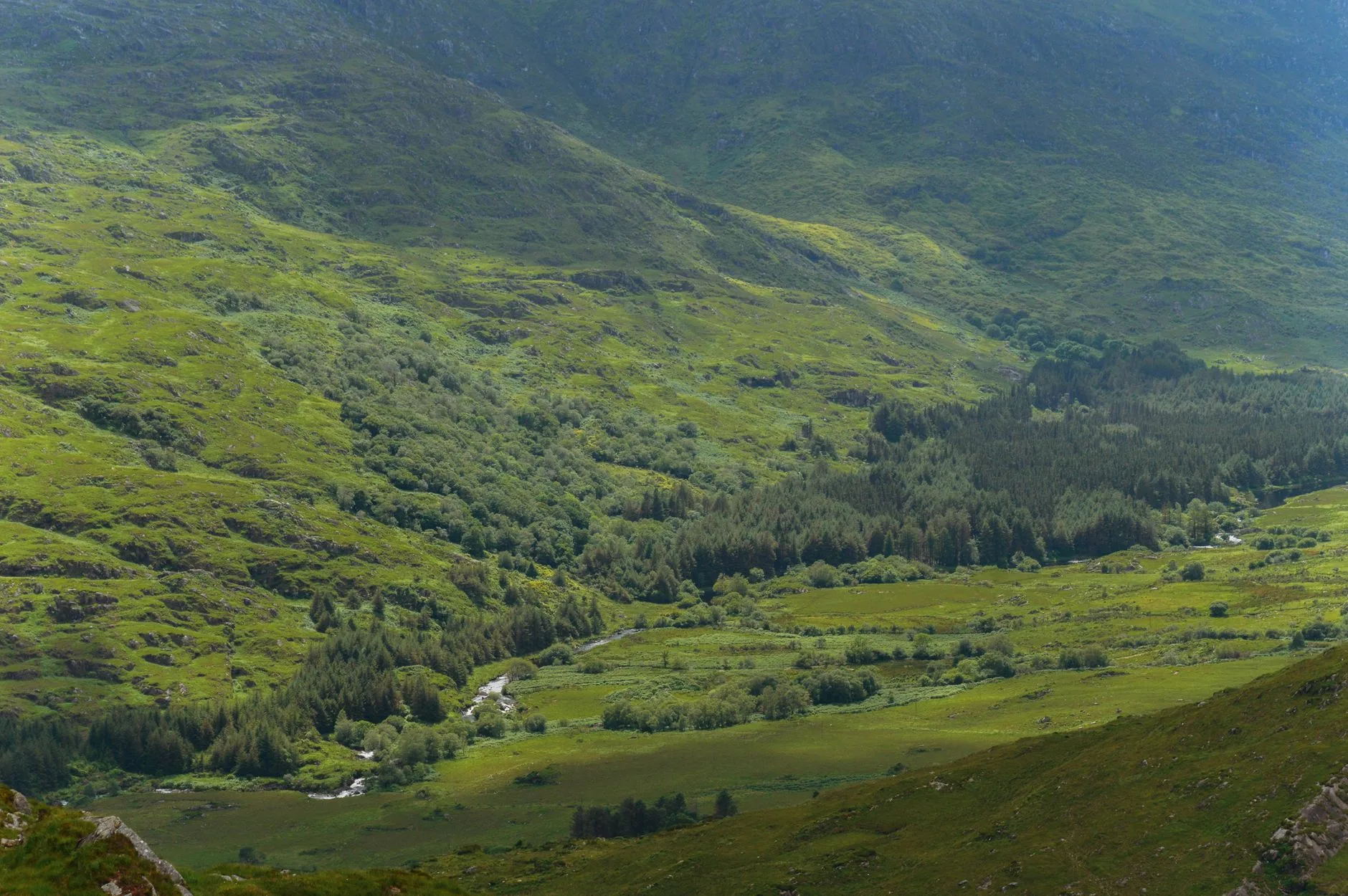 Paysage vert d'Irlande sous un ciel changeant
